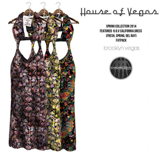 H.o.V California Dress Fatpack