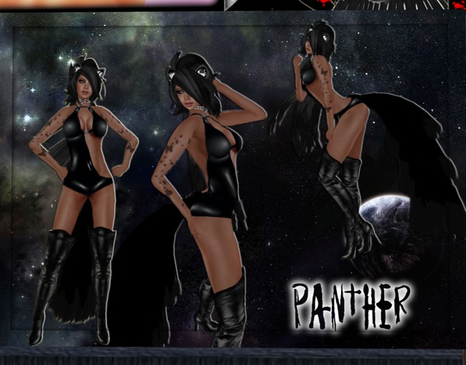 Panther outfit -