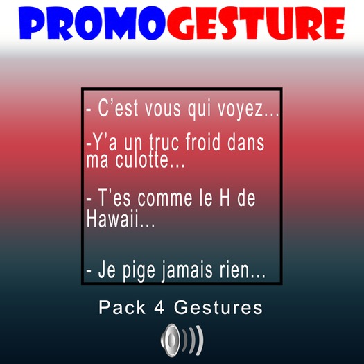 - Promo Gesture - Pack 4 gestures