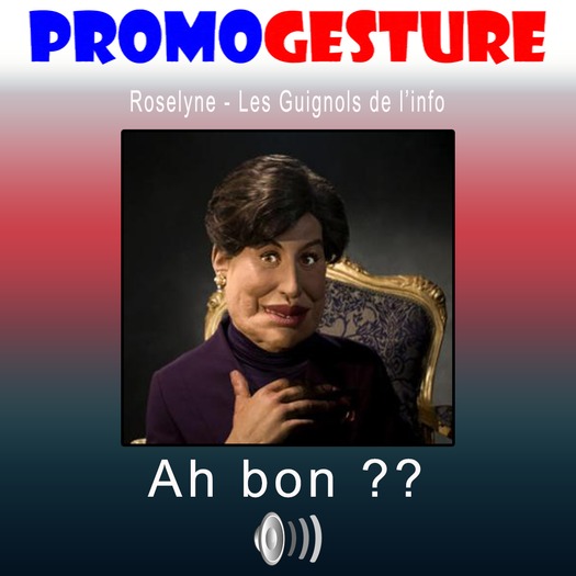 - Promo Gesture - Ah bon ?