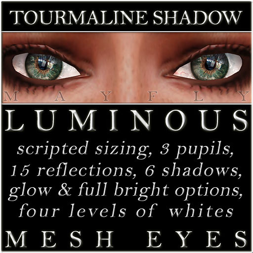 Mayfly - Luminous - Mesh Eyes (Tourmaline Shadow)