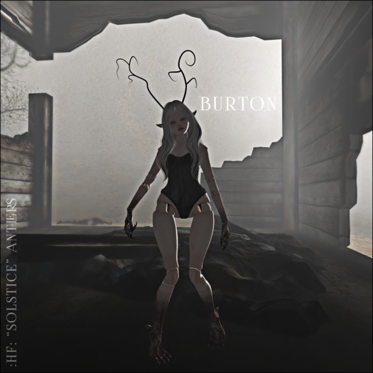 :hf: "Solstice" Antlers [Black] // Buck [Boxed]