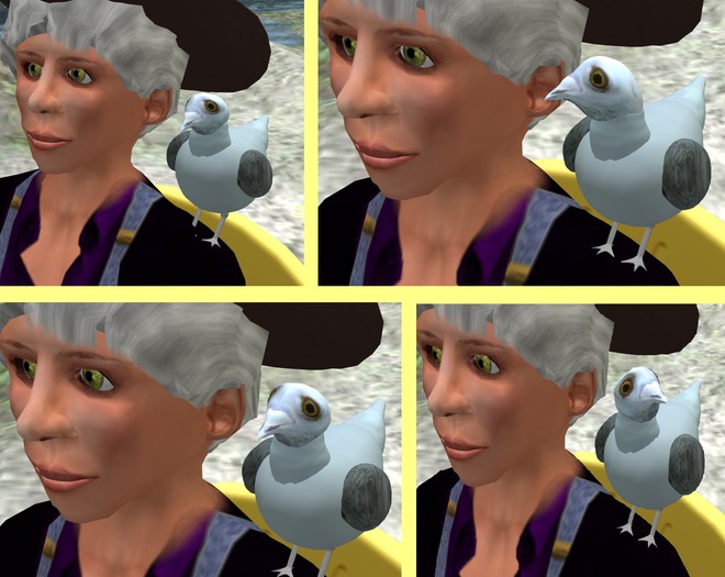 Wingsong Seagull Shoulder Buddy Box