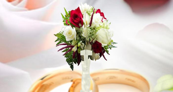 colonne calla rose