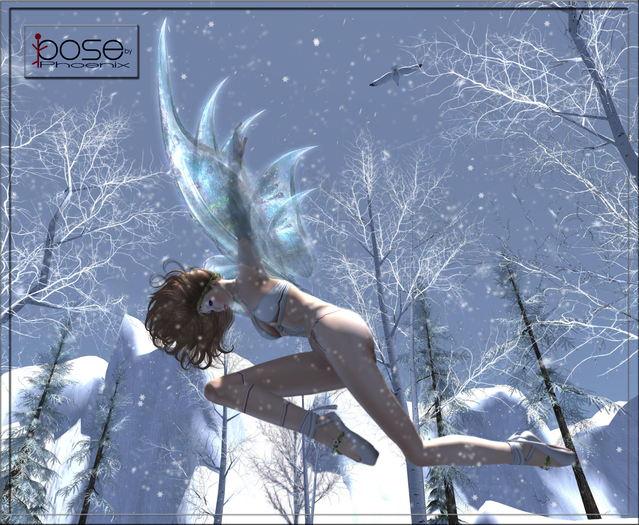 [P] Fly alone-pose Box (wear me)