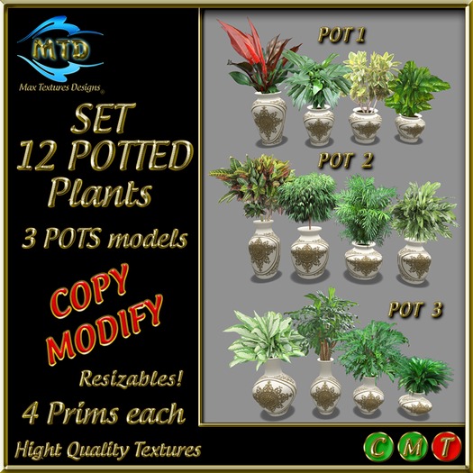 12 POTTED PLANTS - BLANC/OR - WHITE/GOLD