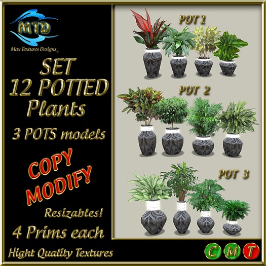 12 POTTED PLANTS - GRIS ABSTRAIT - GREY ABSTRACT
