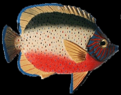 Tropical Red Green Sunburst Butterfly