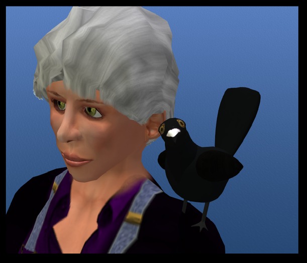 Wingsong Crow Shoulder Buddy Box