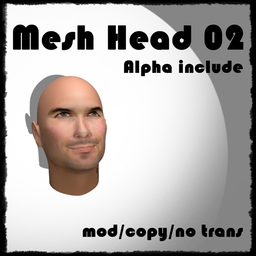 ~BNV~ Mesh Head 01 (box)