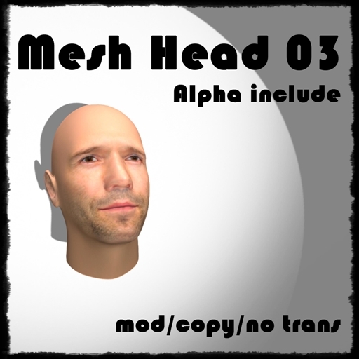 ~BNV~ Mesh Head 03