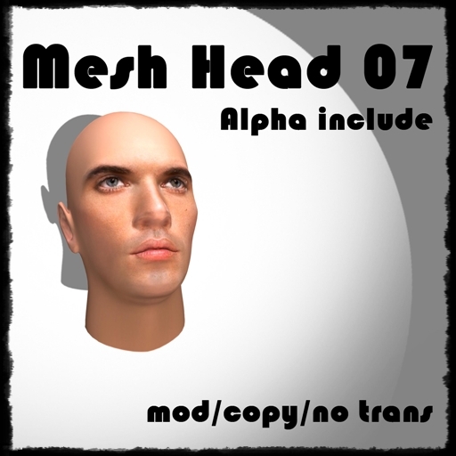 ~BNV~ Mesh Head 01 (box)