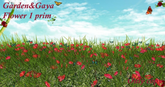 eglantine papillon
