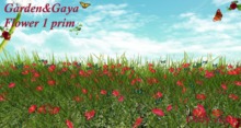 eglantine papillon