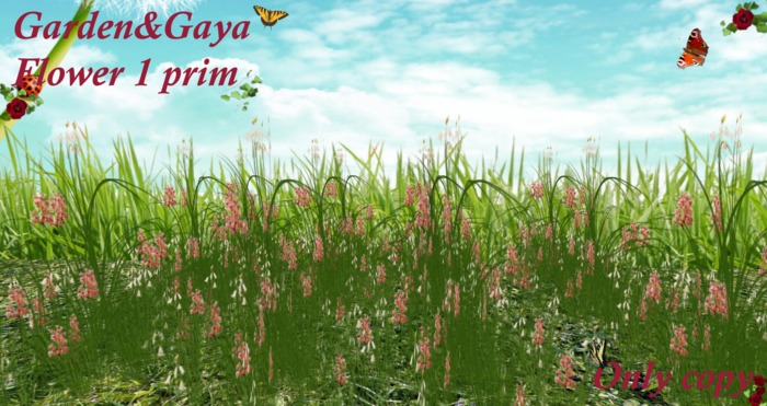 florilege blanc peche