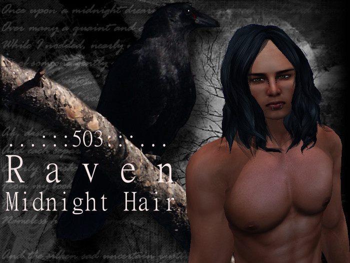...:::503:::...Raven>Midnight Hair
