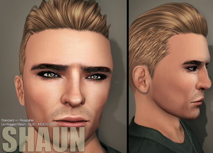 Action Mesh Hair Darmody Thrashed