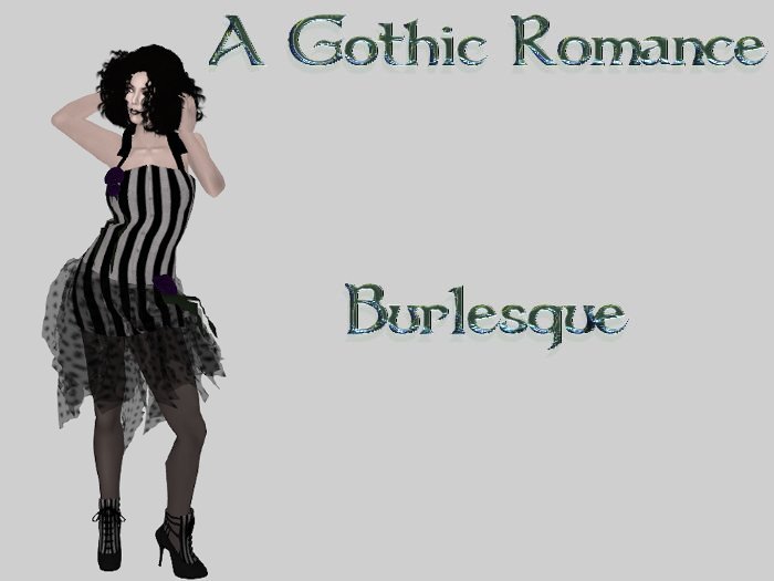 A Gothic Romance - Burlesque corset with net skirt