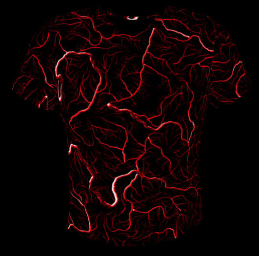 Capillaries Mesh T-Shirt (Mesh)