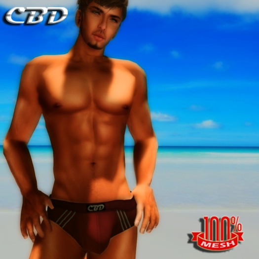 Dark Red Mesh Swimwear