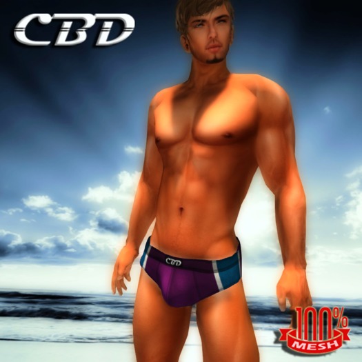 CBD - Light Blue Mesh Swimwear