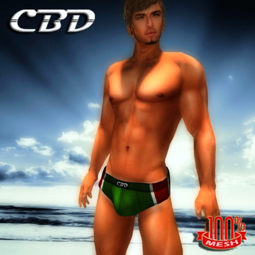 CBD - Light Blue Mesh Swimwear