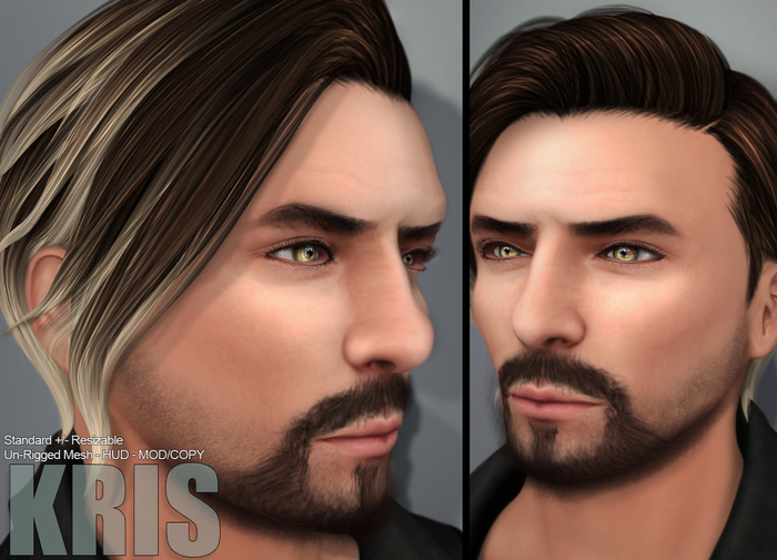 *****Hair Listing Template [RIGGED MESH][MESH]