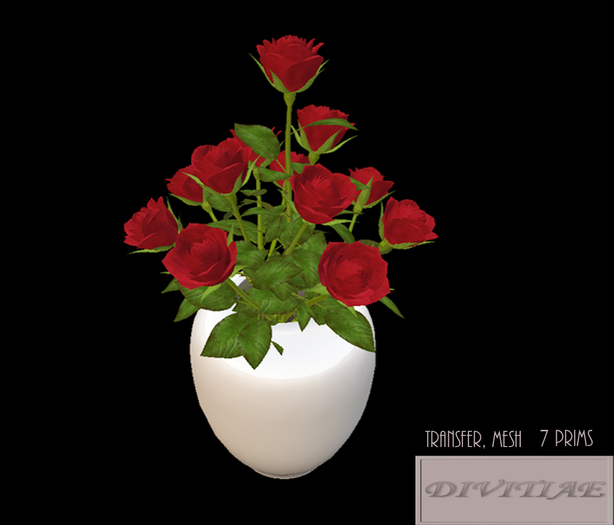 twelve red roses