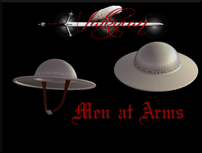 ~Valkyrian~ Men At Arms