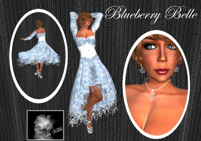 Blueberry Belle