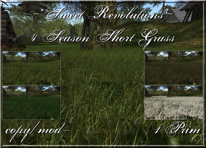 ~*SR*~ 4 Season Short Grass Box