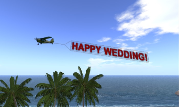 Plane with 2-sided Banner - Happy Wedding
