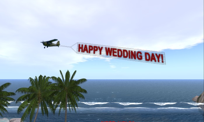 Plane with 2-sided Banner - Happy Wedding Day
