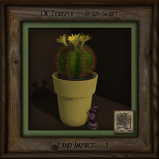 Cactus Double Pot A