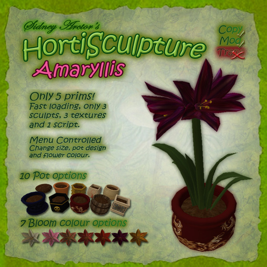 Hortisculpture Amaryllis