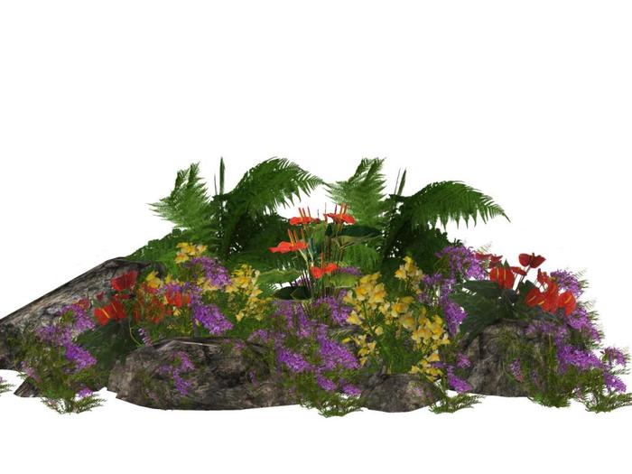 Tropical Plant Arrangement 2