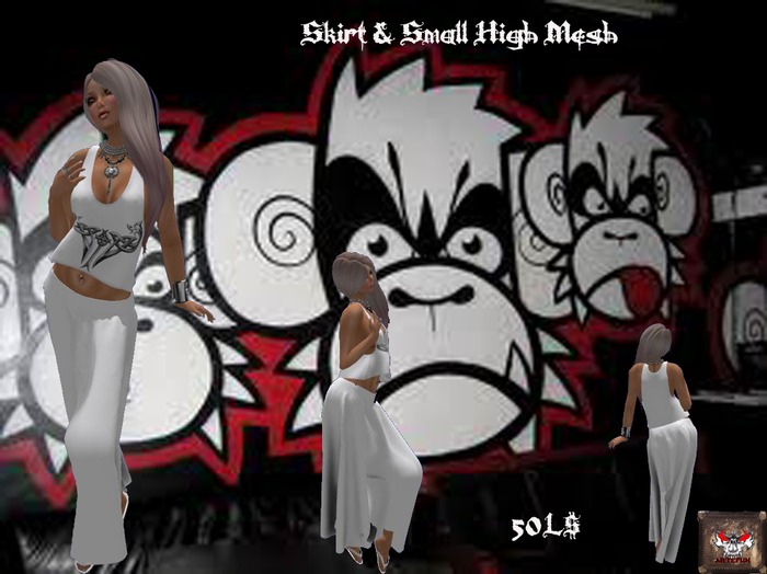Skirt & Small High Mesh
