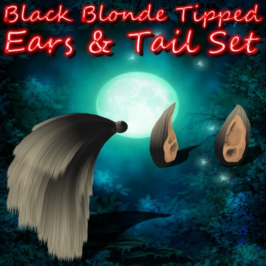 Black Blonde Tipped Clean Ears & Tail Set