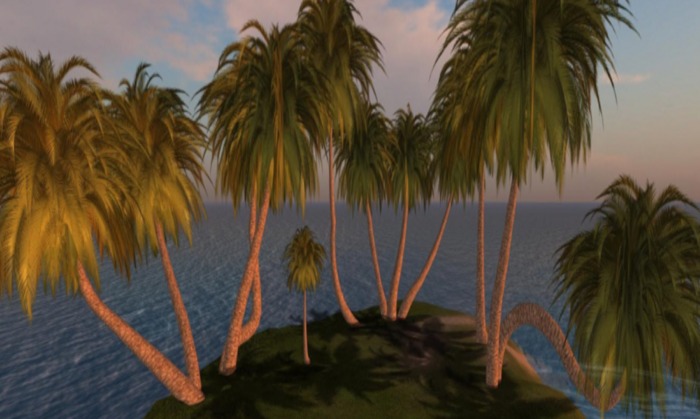 7 Palm Multi Pack (No Coconut)