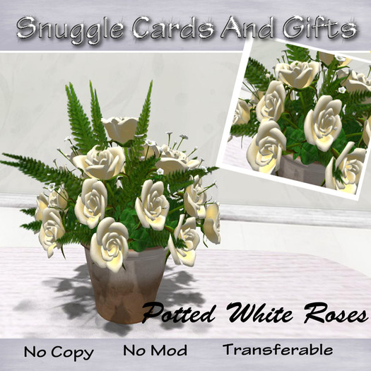 Potted Roses White By Snuggles [mesh]