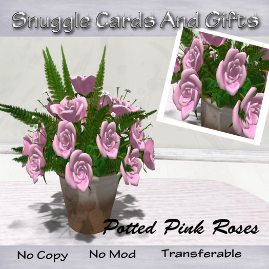 Potted Roses Pink By Snuggles