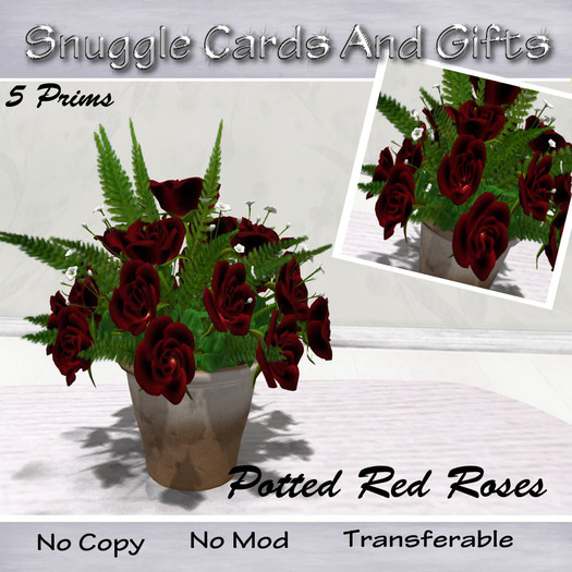 Potted Roses Red By Snuggles