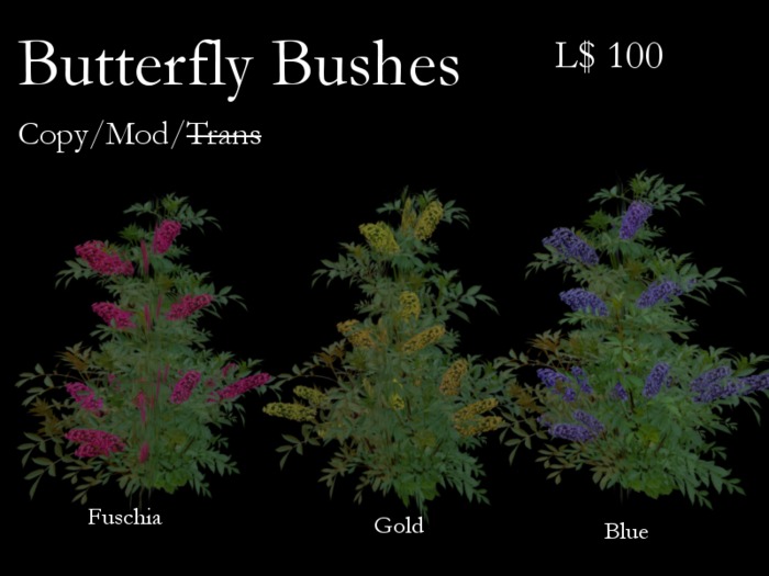 Butterfly Bush-Blue