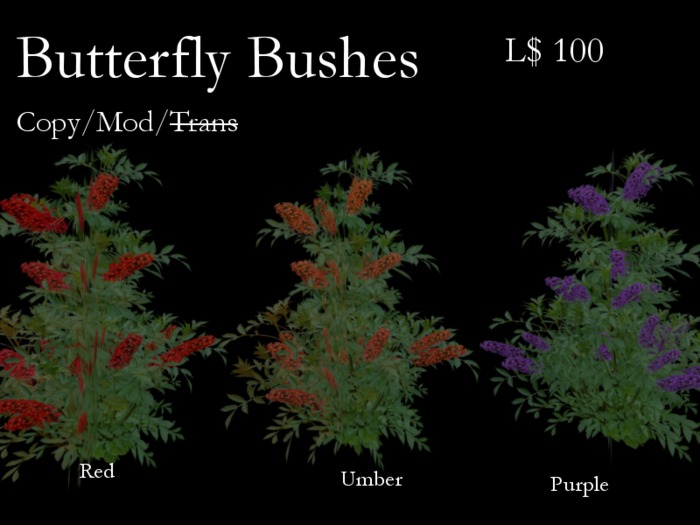 Butterfly Bush-Purple