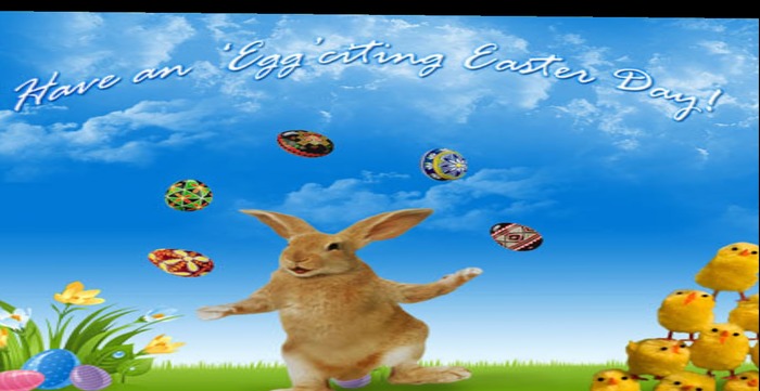Easter bunny texture backdrop full perms