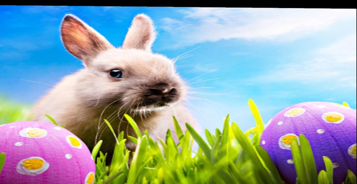 Happy Easter rabbit texture full perms