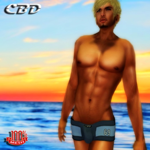 CBD - Blue 69 Series Square Cut Mesh Swimwear