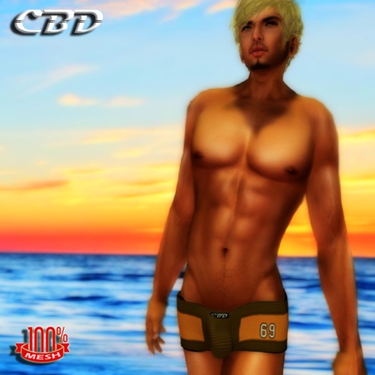 CBD - Blue 69 Series Square Cut Mesh Swimwear