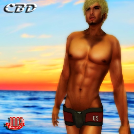 CBD - Blue 69 Series Square Cut Mesh Swimwear