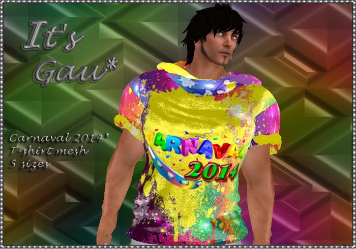 *It's Gau*Carnaval 2014